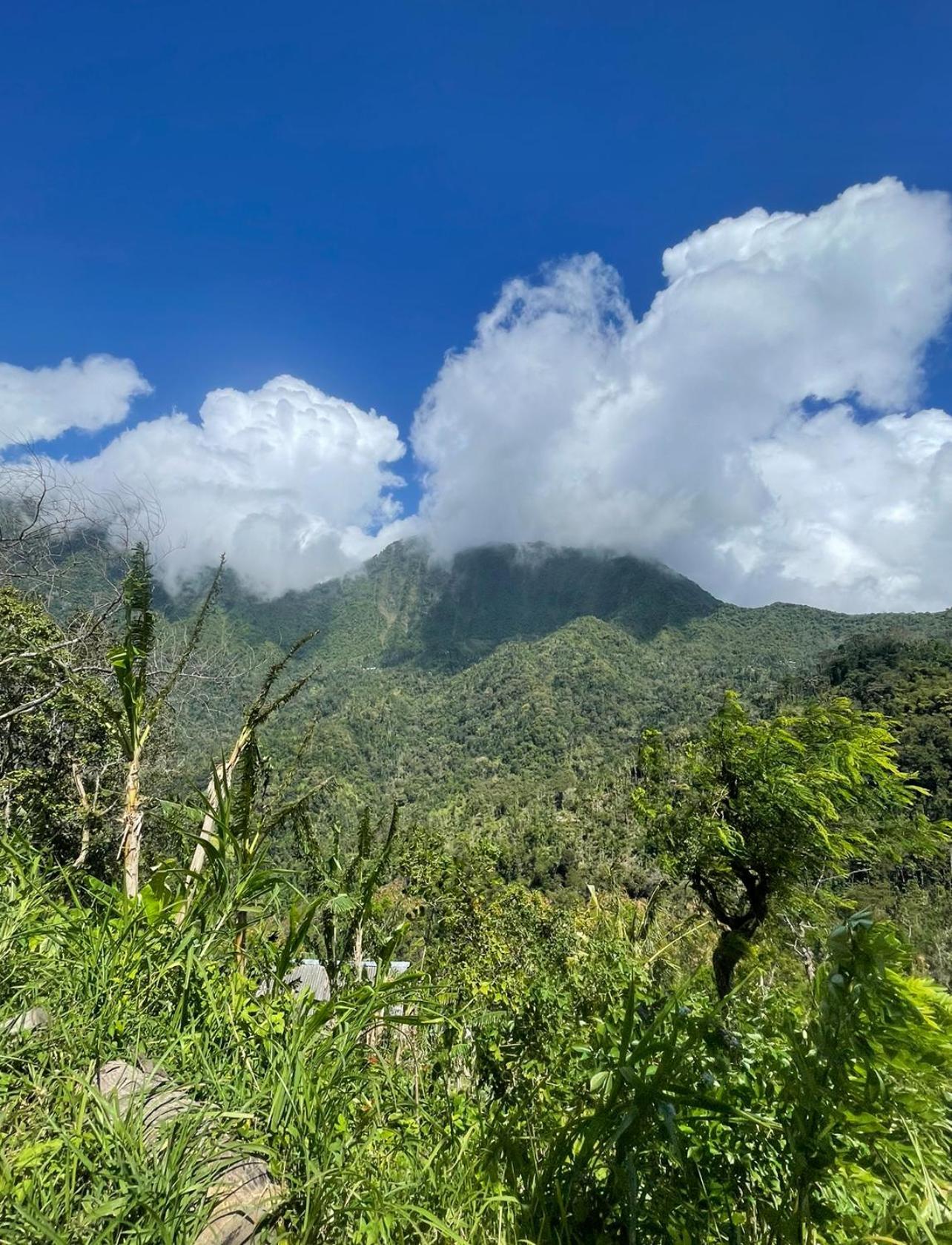 Tropical Habitat Bali Villa Amed Екстериор снимка
