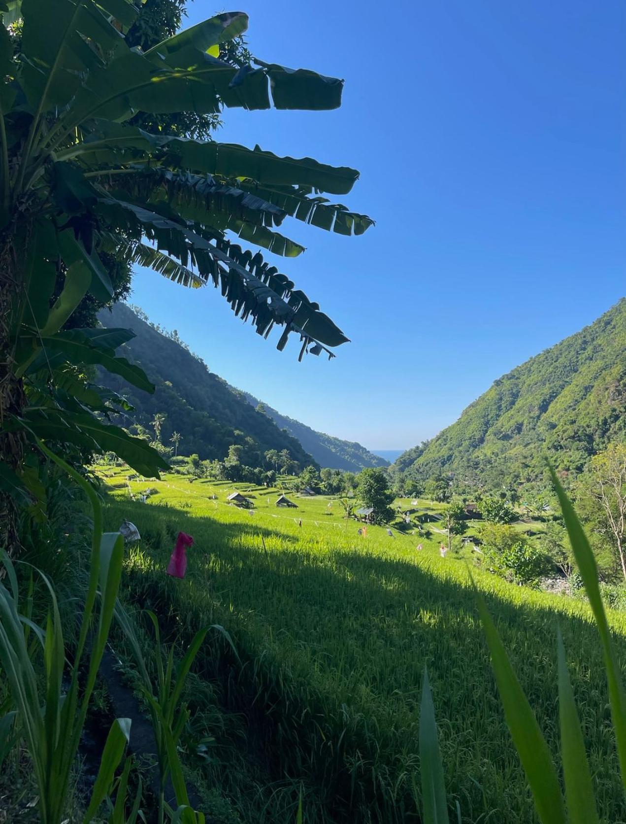 Tropical Habitat Bali Villa Amed Екстериор снимка