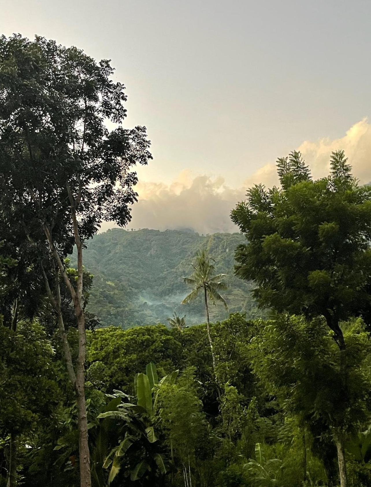 Tropical Habitat Bali Villa Amed Екстериор снимка