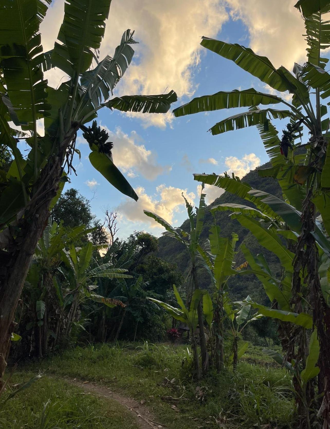 Tropical Habitat Bali Villa Amed Екстериор снимка