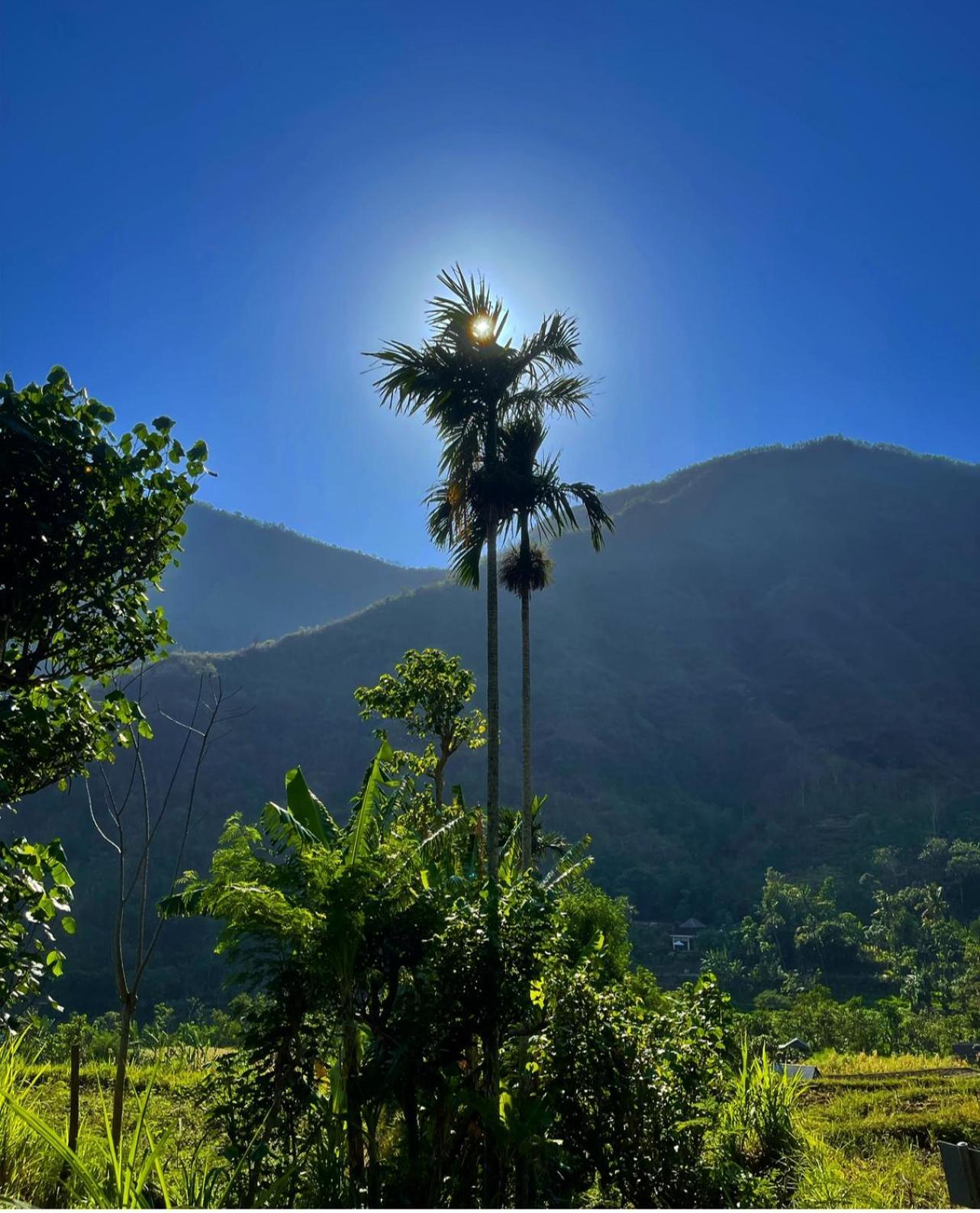 Tropical Habitat Bali Villa Amed Екстериор снимка