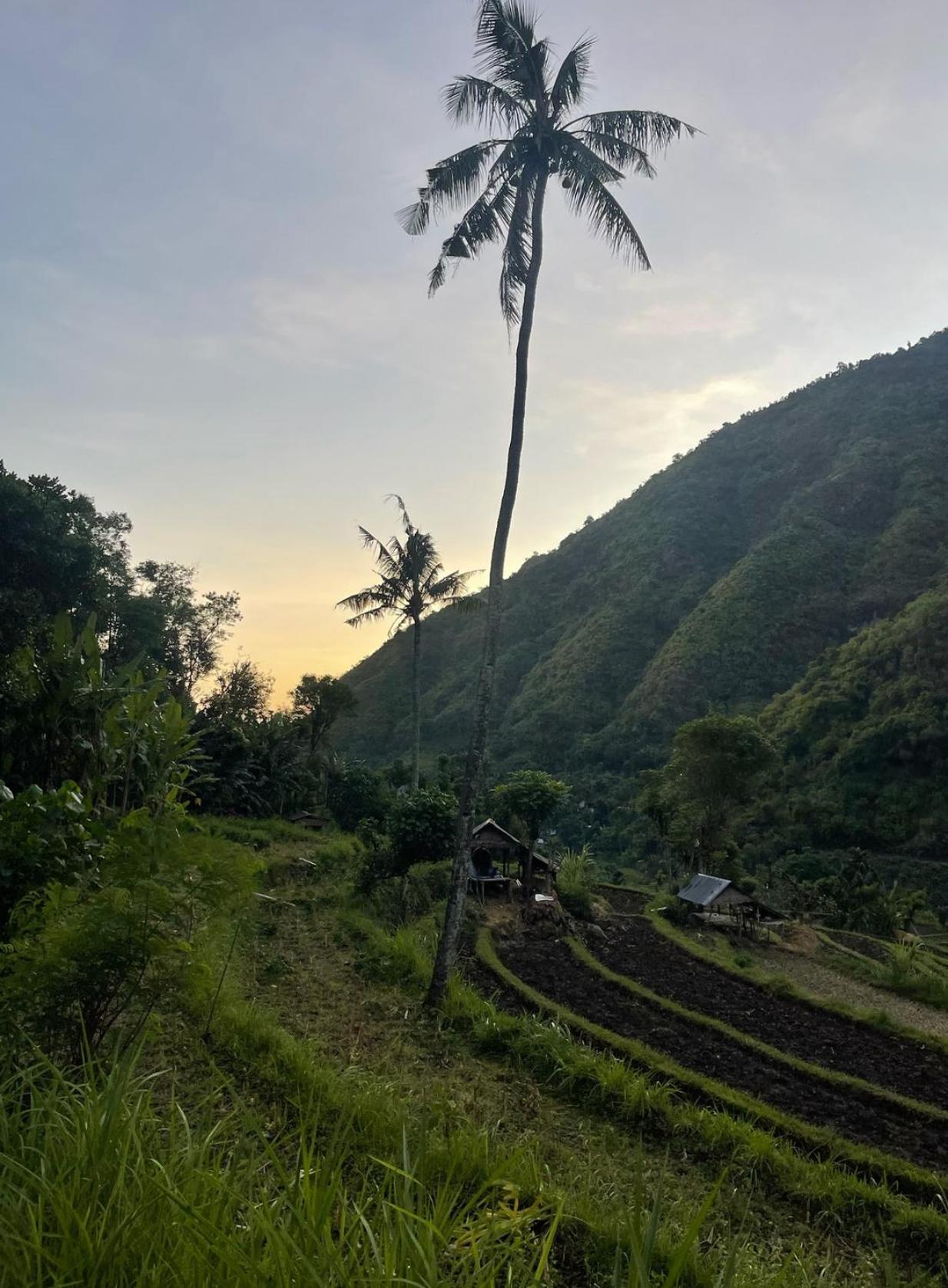 Tropical Habitat Bali Villa Amed Екстериор снимка