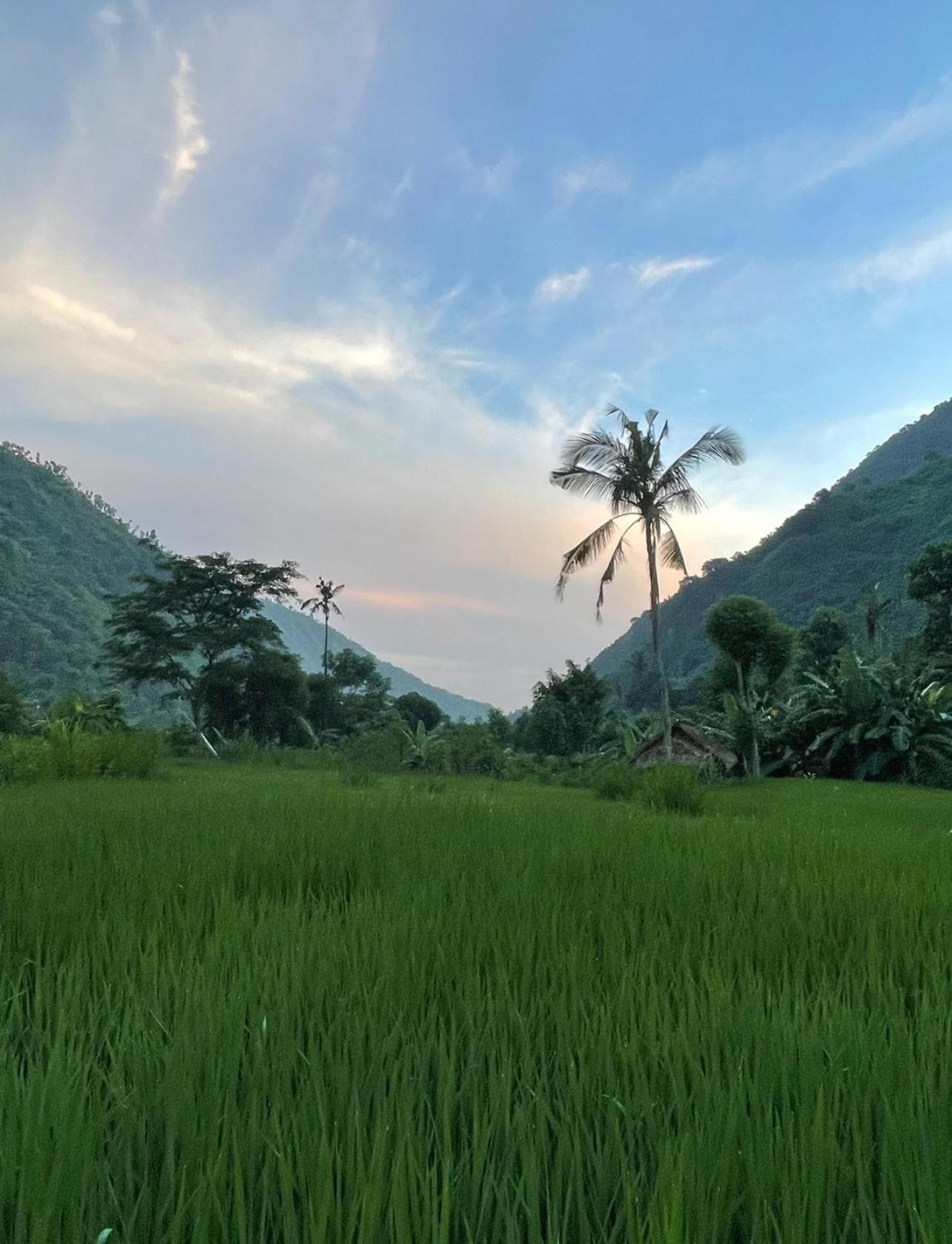 Tropical Habitat Bali Villa Amed Екстериор снимка